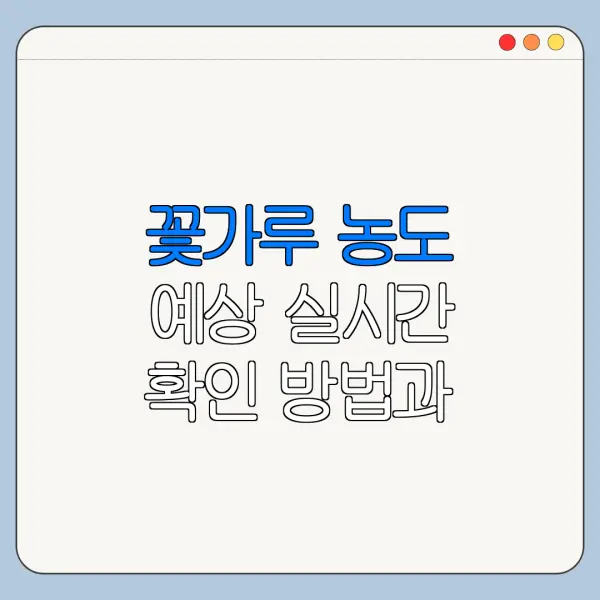 꽃가루 농도 예상 실시간 확인 방법과 주의사항