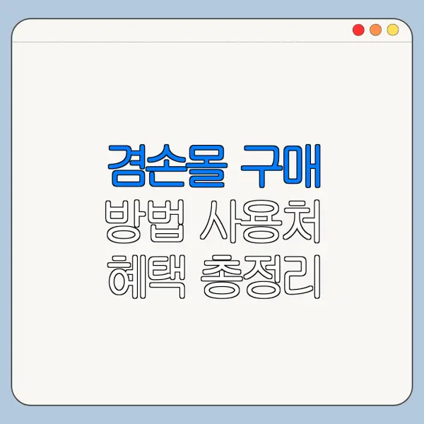 겸손몰 구매 방법 사용처 혜택 총정리