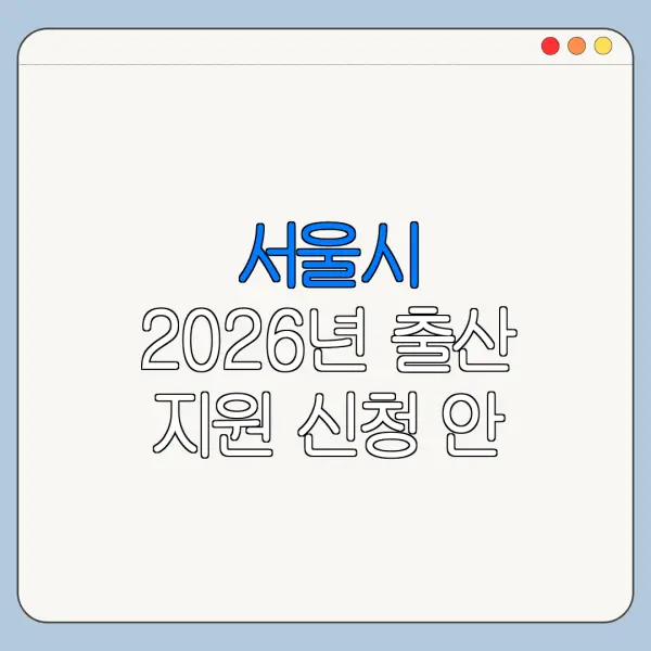 서울시 2026년 출산 지원 신청 안 될 때 오류 해결 방법