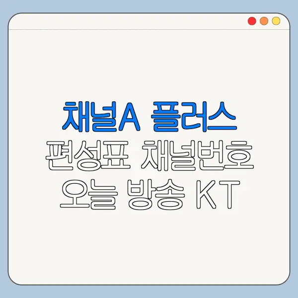 채널A 플러스 편성표 채널번호 오늘 방송 KT 확인 방법
