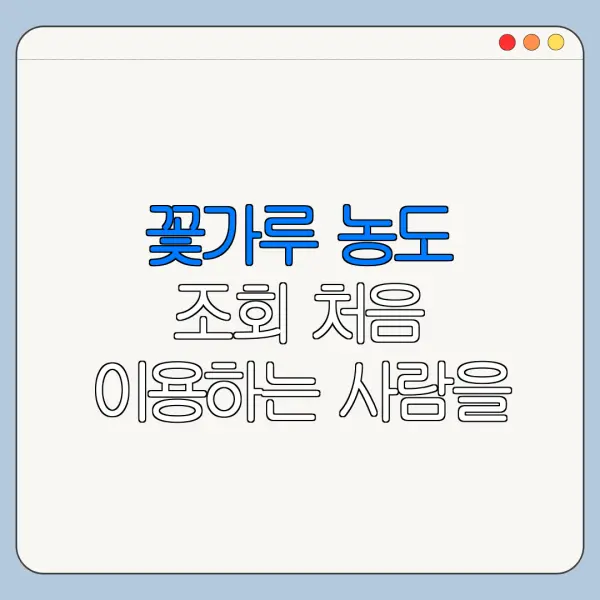 꽃가루 농도 조회 처음 이용하는 사람을 위한 쉬운 안내