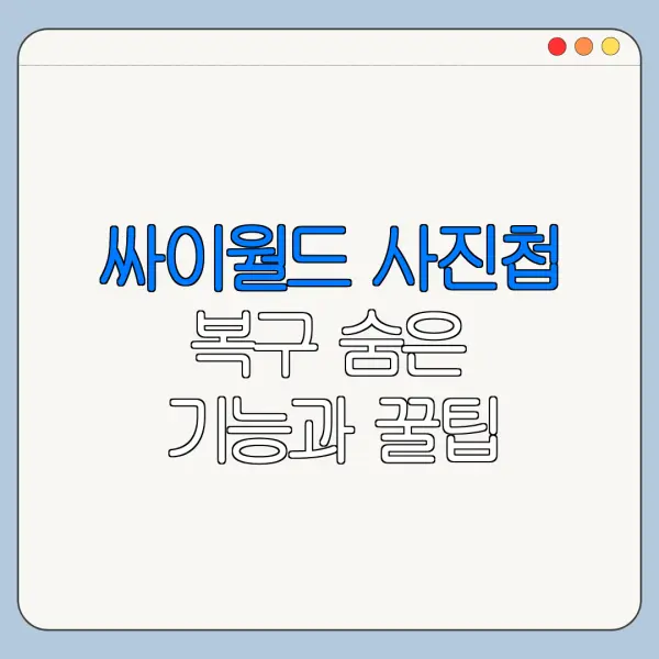 싸이월드 사진첩 복구 숨은 기능과 꿀팁 정리