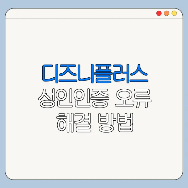디즈니플러스 성인인증 오류 해결 방법 초보자용 정리
