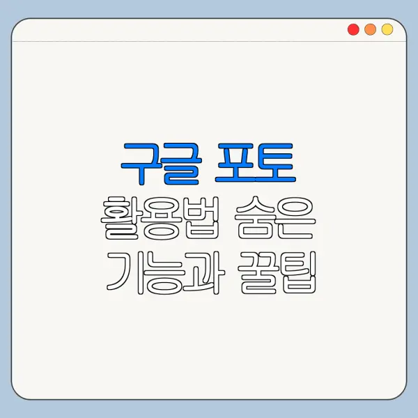구글 포토 활용법 숨은 기능과 꿀팁 정리