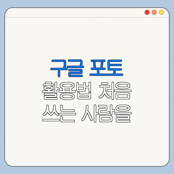 구글 포토 활용법 처음 쓰는 사람을 위한 쉬운 사용법