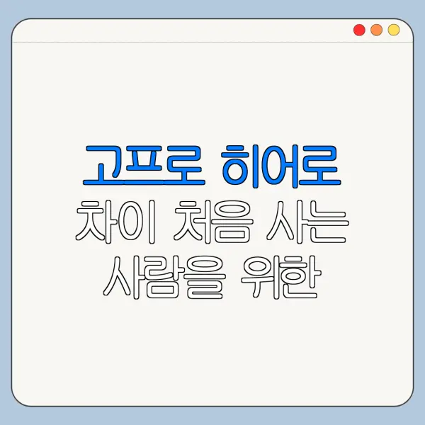 고프로 히어로 차이 처음 사는 사람을 위한 쉬운 가이드